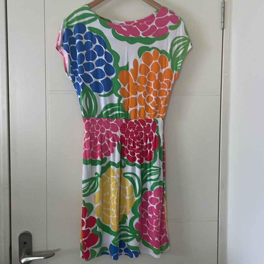 Lilly Pulitzer Sadie dress
